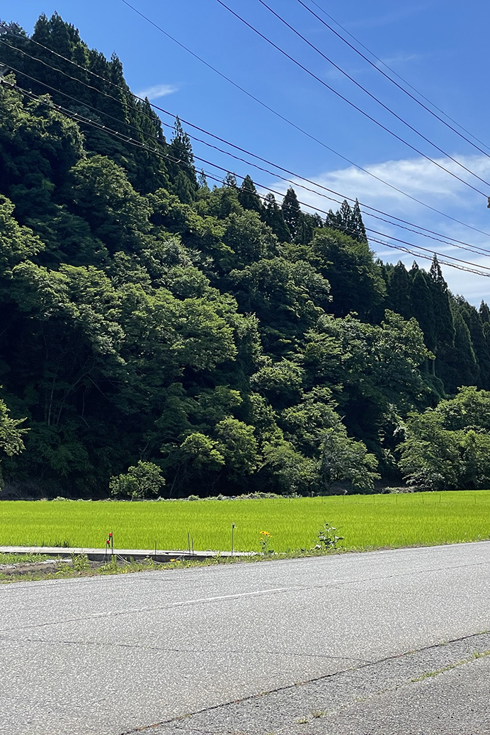 能登町の住宅プロジェクト イメージ