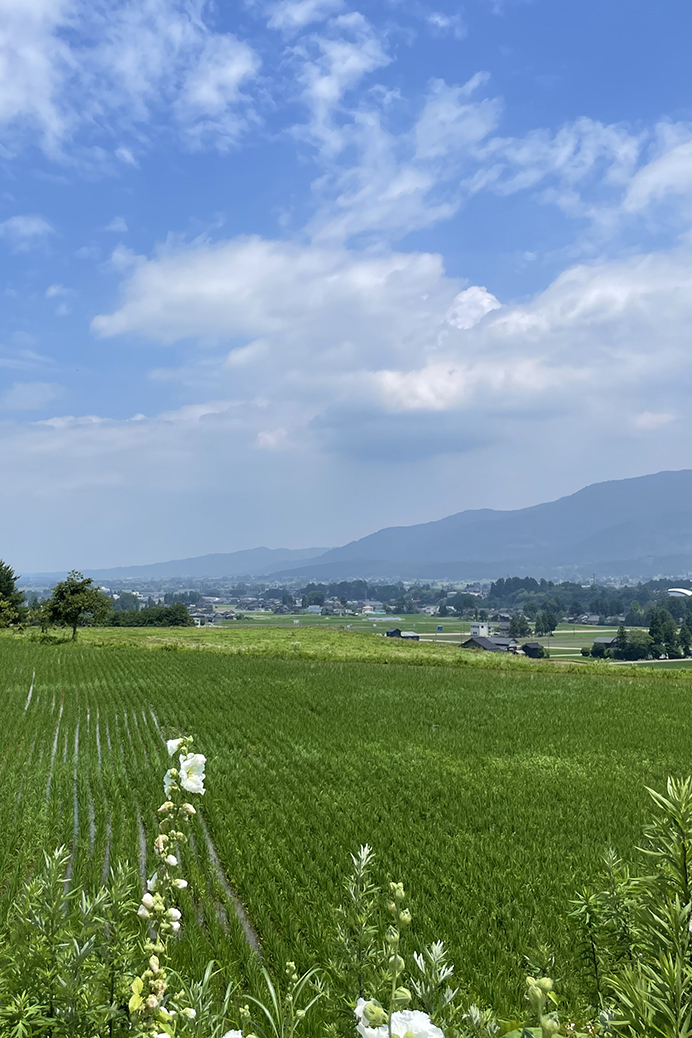 南砺市の店舗プロジェクト イメージ